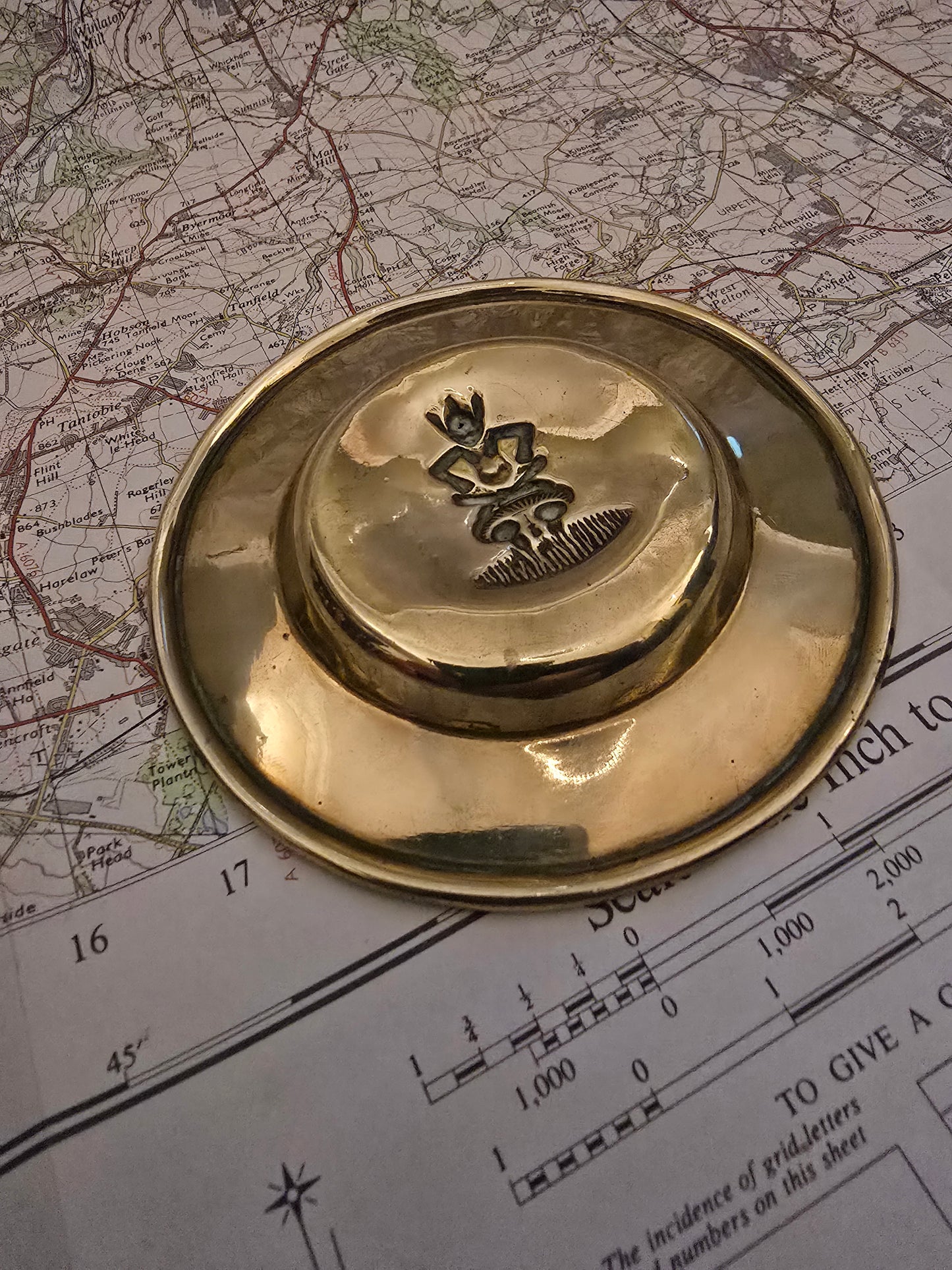 Brass Pin Tray - Dartmoor Pixie